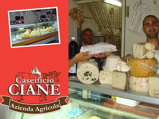 Azienda Agricola Caseificio Ciane
