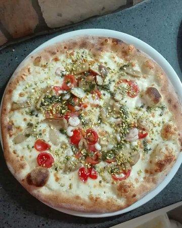 Pizzi.Cotti