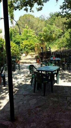 Bar Delle Querce
