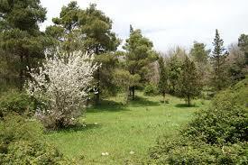 Monte Genuardo
