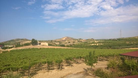 Agriturismo ALPA