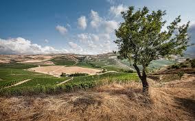 Tasca D'Almerita