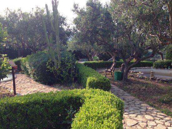 Minigolf Scopello Green Garden