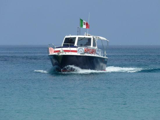 Hippocampus Sea Services