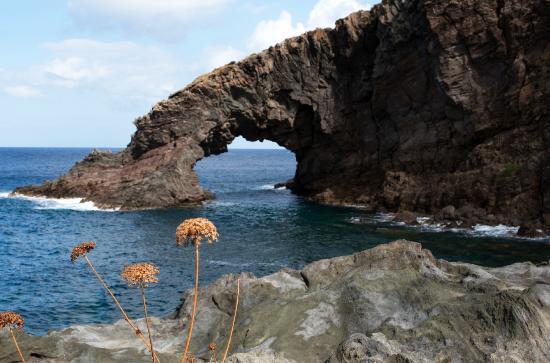 Cala Levante Diving School