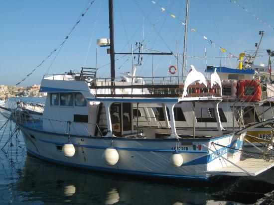 Delfino Bianco