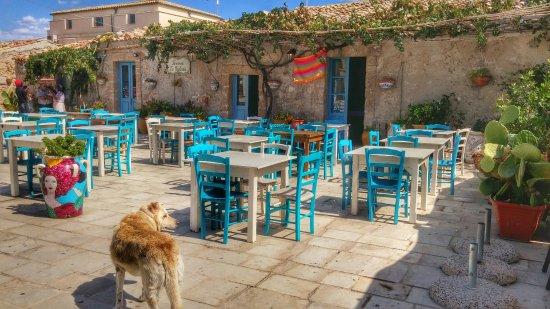 Bar Cialoma