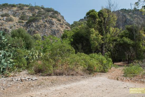Parco della Favorita