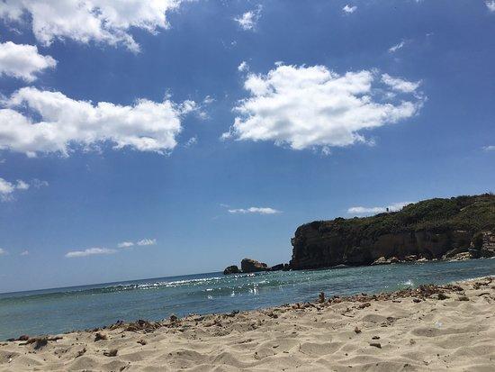 Lido Camomilla
