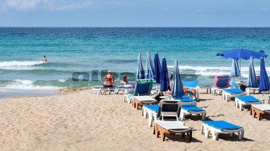 Coral Beach