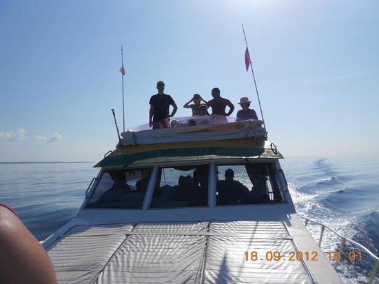 Scuba Libre Diving