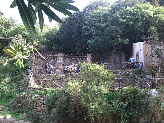 I Nebrodi Associazione Naturalistica