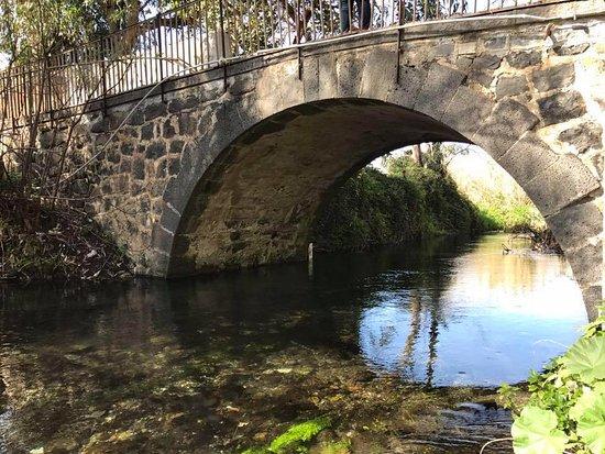 Riserva Naturale Orientata del Fiume Fiumefreddo