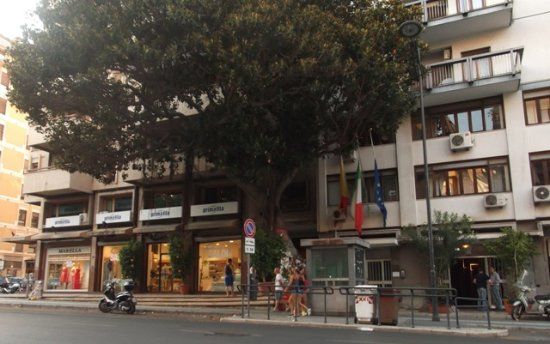 Albero Falcone