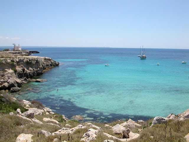 l'Isola di Favignana