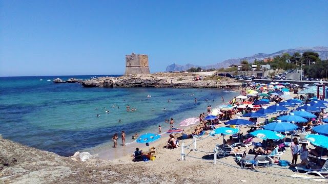 Dolphin Beach