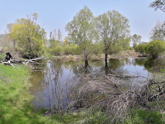 Lago Gurrida