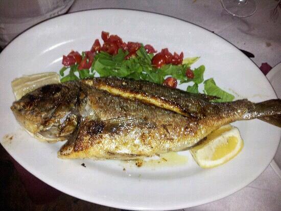 Trattoria 2 Colonne