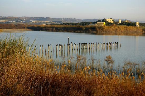 Riserva naturale orientata Biviere di Gela