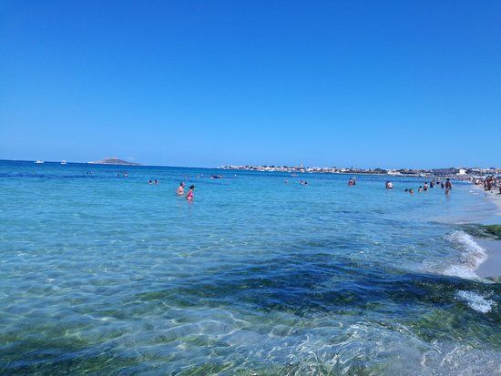 Sconzajuoco