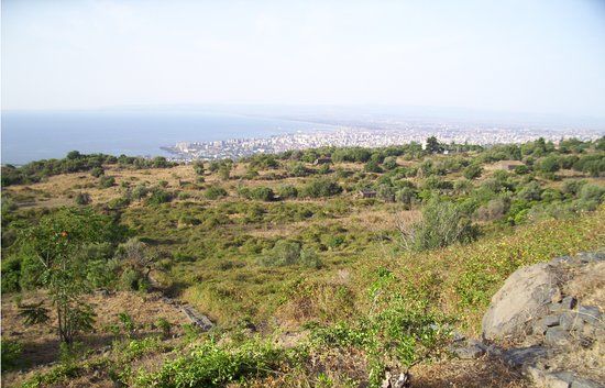 Riserva naturale integrale Complesso Immacolatella e Micio Conti