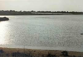 Pantano Longarini