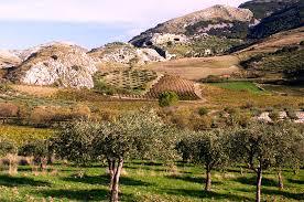Valle del Belice