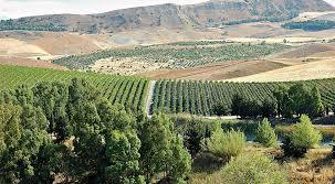 Di Giovanna Winery