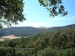 Bosco di Scorace